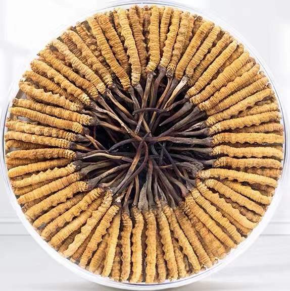 军垦路街道冬虫夏草回收